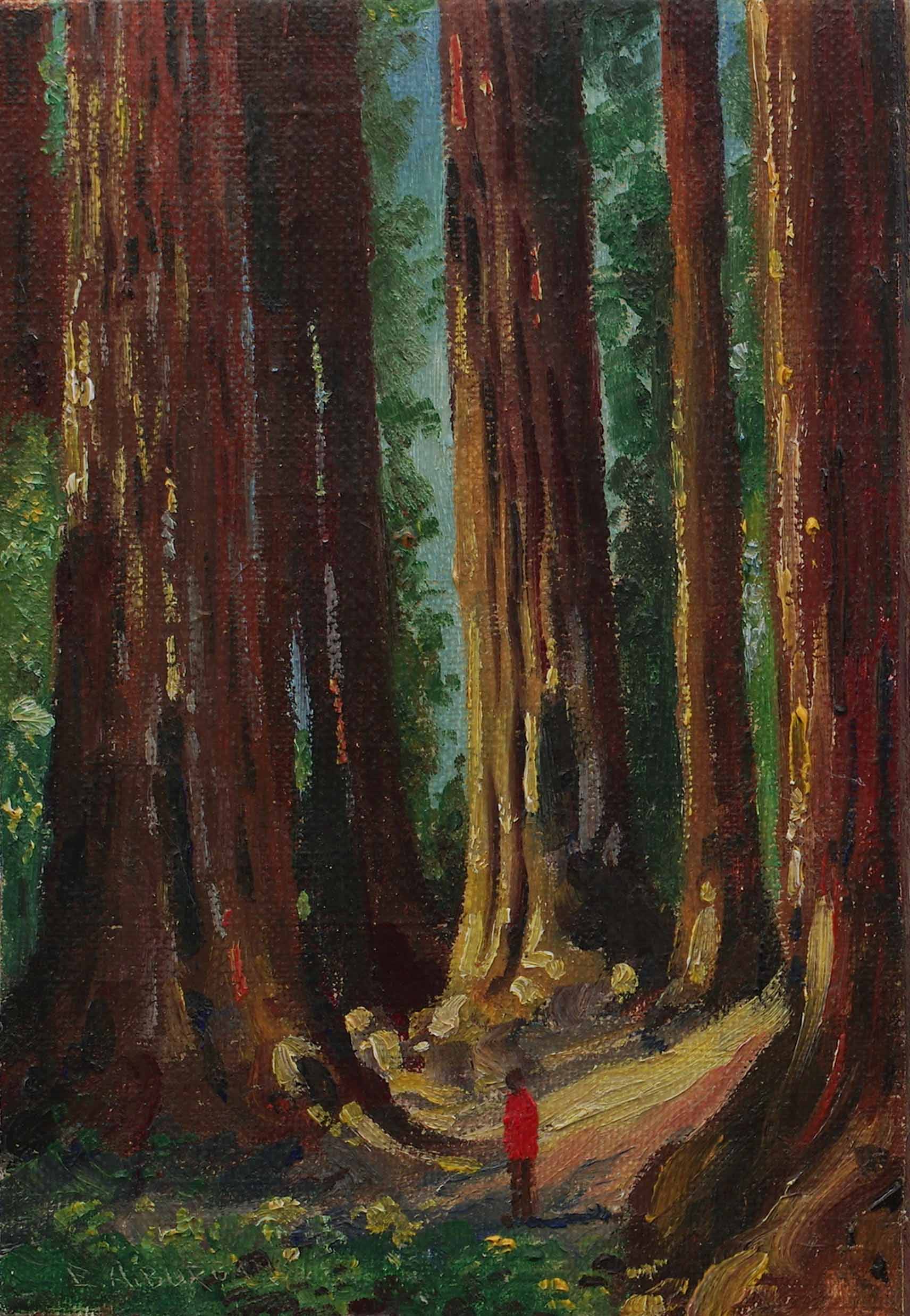 Redwood Trees